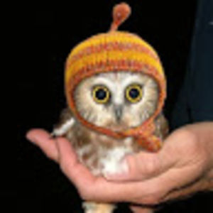 Meet your Posher, Cathy